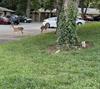 Keith's new neighbors